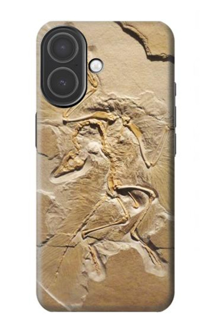 S0380 恐竜化石 Dinosaur Fossil iPhone 17 バックケース、フリップケース・カバー S0380 恐竜化石 Dinosaur Fossil iPhone 17 バックケース、フリップケース・カバー