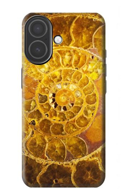 S1789 アンモナイト化石 Ammonite Fossils iPhone 17 バックケース、フリップケース・カバー S1789 アンモナイト化石 Ammonite Fossils iPhone 17 バックケース、フリップケース・カバー