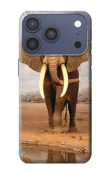 S0310 アフリカゾウ African Elephant iPhone 17 Pro, 18 Pro バックケース、フリップケース・カバー