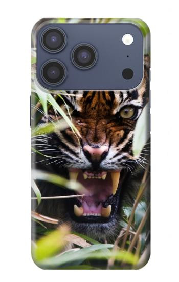 S3838 ベンガルトラの吠え Barking Bengal Tiger iPhone 17 Pro バックケース、フリップケース・カバー