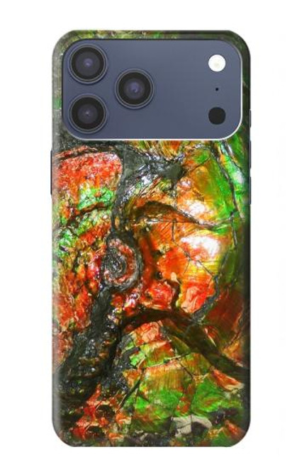 S2694 アンモナイト化石 Ammonite Fossil iPhone 17 Pro Max バックケース、フリップケース・カバー