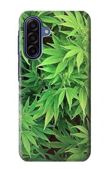 S1656 マリファナ Marijuana Plant Samsung Galaxy A17 バックケース、フリップケース・カバー