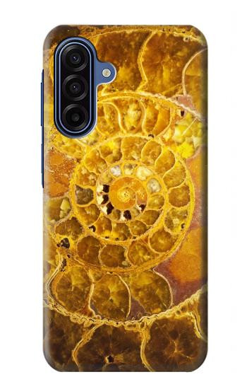S1789 アンモナイト化石 Ammonite Fossils Samsung Galaxy A17 バックケース、フリップケース・カバー