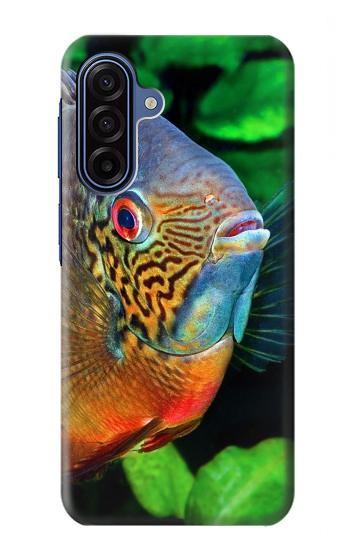 S1812 シクリッド魚 Cichlid Fish Samsung Galaxy A17 バックケース、フリップケース・カバー