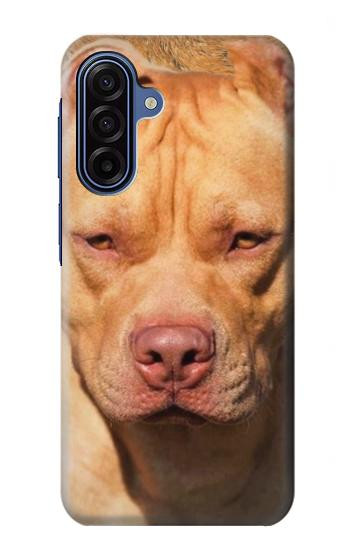 S2903 アメリカンピットブル American Pitbull Dog Samsung Galaxy A17 バックケース、フリップケース・カバー