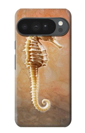 S2674 タツノオトシゴスケルトン化石 Seahorse Skeleton Fossil Google Pixel 10 Pro XL バックケース、フリップケース・カバー