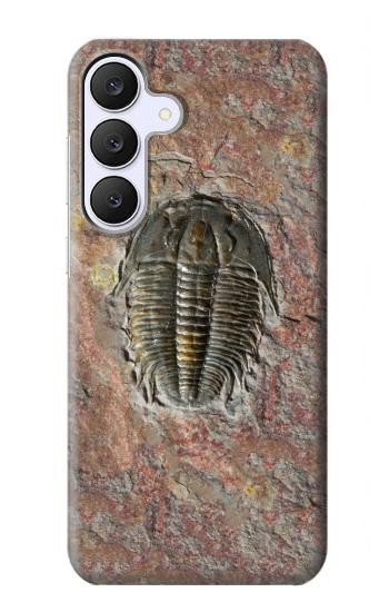 S1454 三葉虫の化石 Trilobite Fossil Samsung Galaxy S25 FE バックケース、フリップケース・カバー
