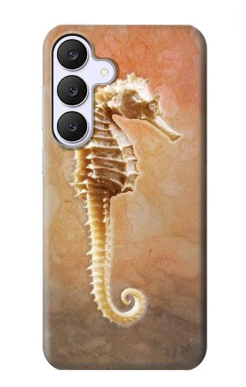 S2674 タツノオトシゴスケルトン化石 Seahorse Skeleton Fossil Samsung Galaxy S25 FE バックケース、フリップケース・カバー
