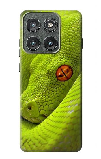 S0785 グリーンスネーク Green Snake Motorola Edge (2025) バックケース、フリップケース・カバー