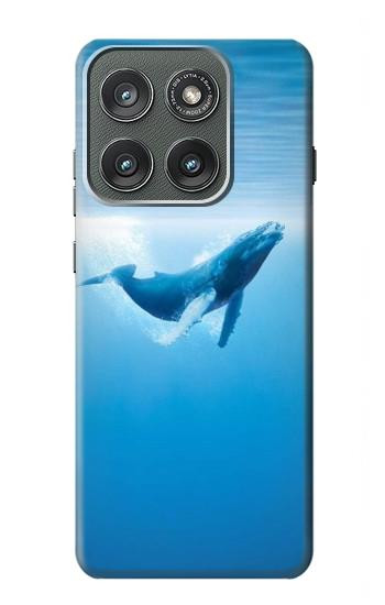 S0843 シロナガスクジラ Blue Whale Motorola Edge (2025) バックケース、フリップケース・カバー