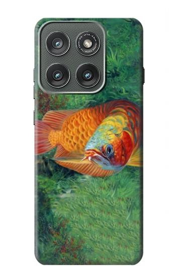 S1157 レッドアロワナ Red Arowana Fish Motorola Edge (2025) バックケース、フリップケース・カバー