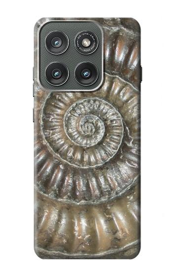 S1788 アンモナイト化石 Ammonite Fossil Motorola Edge (2025) バックケース、フリップケース・カバー