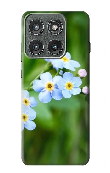 S1818 私を忘れないでください Forget Me Not Motorola Edge (2025) バックケース、フリップケース・カバー