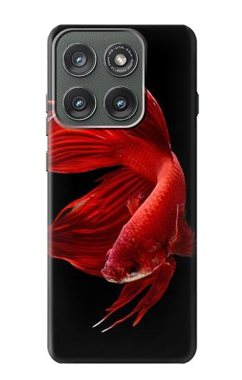 S2092 シャムと戦うサイアム Red Siamese Fighting Fish Motorola Edge (2025) バックケース、フリップケース・カバー