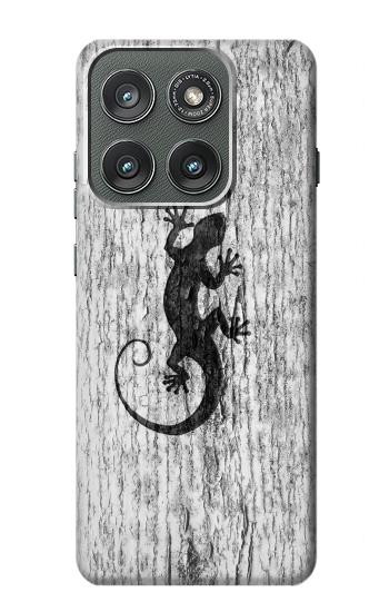 S2446 木材のヤモリ グラフィックプリント Gecko Wood Graphic Printed Motorola Edge (2025) バックケース、フリップケース・カバー