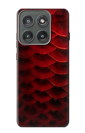 S2879 レッドアロワナのスケール Red Arowana Fish Scale Motorola Edge (2025) バックケース、フリップケース・カバー