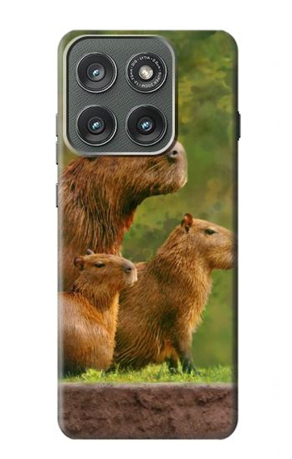 S3917 カピバラの家族 巨大モルモット Capybara Family Giant Guinea Pig Motorola Edge (2025) バックケース、フリップケース・カバー