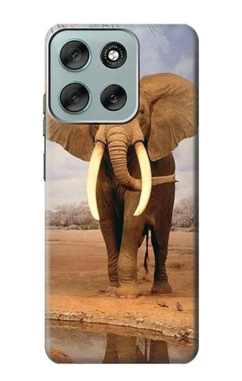 S0310 アフリカゾウ African Elephant Motorola Moto G56 バックケース、フリップケース・カバー