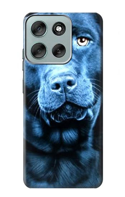 S0750 ラブラドール・レトリーバーの犬 Labrador Retriever Motorola Moto G56 バックケース、フリップケース・カバー