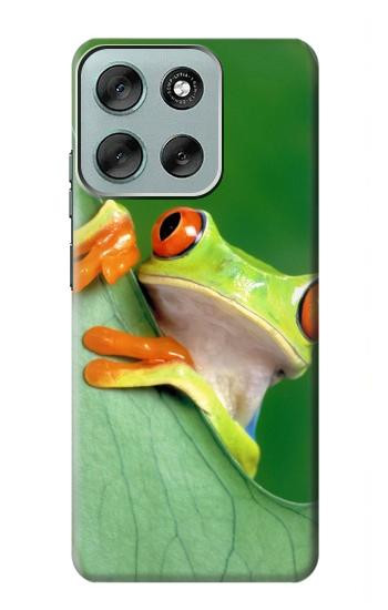 S1047 小さなカエル Little Frog Motorola Moto G56 バックケース、フリップケース・カバー