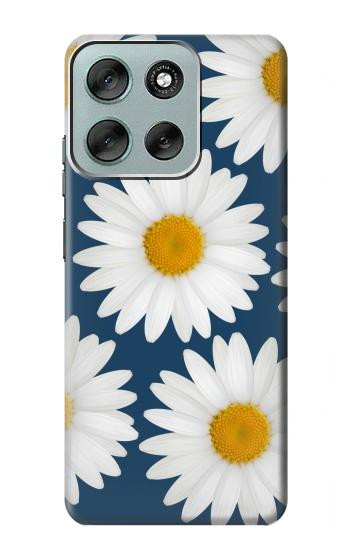 S3009 デイジーブルー Daisy Blue Motorola Moto G56 バックケース、フリップケース・カバー