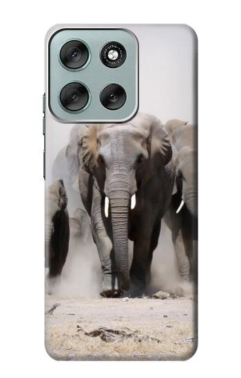 S3142 アフリカゾウ African Elephant Motorola Moto G56 バックケース、フリップケース・カバー