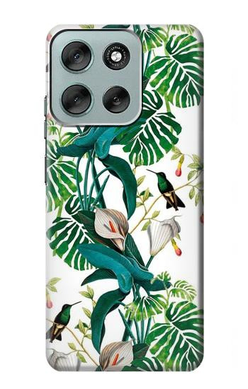 S3697 リーフライフバード Leaf Life Birds Motorola Moto G56 バックケース、フリップケース・カバー