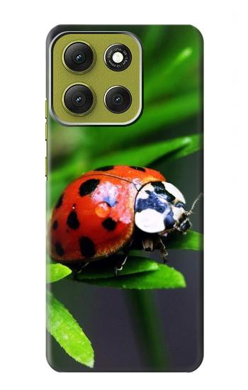 S0263 天道虫 Ladybug Motorola Moto G86 バックケース、フリップケース・カバー