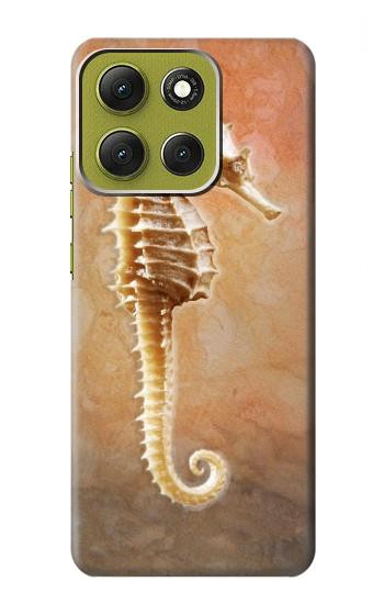 S2674 タツノオトシゴスケルトン化石 Seahorse Skeleton Fossil Motorola Moto G86 バックケース、フリップケース・カバー