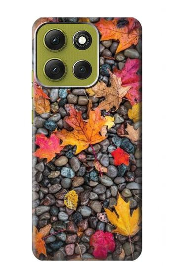S3889 メープル リーフ Maple Leaf Motorola Moto G86 バックケース、フリップケース・カバー