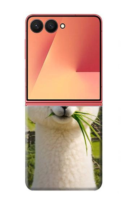 S4069 アルパカのサングラス Alpaca Sunglasses Samsung Galaxy Z Flip 7 バックケース、フリップケース・カバー