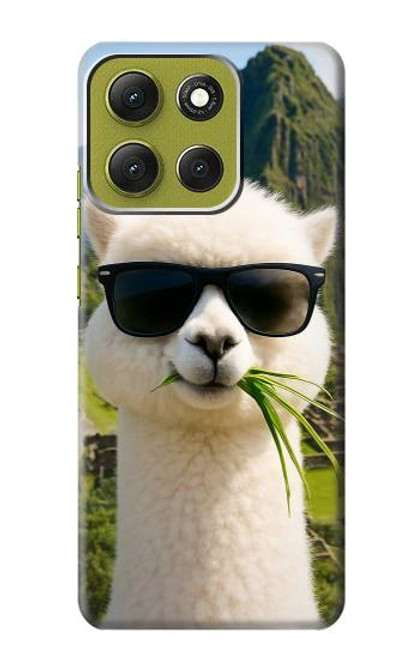 S4069 アルパカのサングラス Alpaca Sunglasses Motorola Moto G86 バックケース、フリップケース・カバー