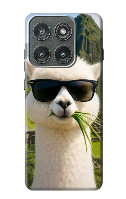 S4069 アルパカのサングラス Alpaca Sunglasses Motorola Edge (2025) バックケース、フリップケース・カバー
