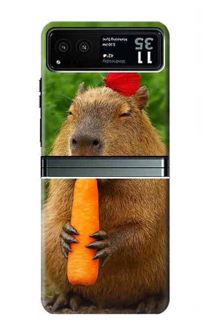 S4068 カピバラ蝶 Capybara Butterfly Motorola Razr 40 バックケース、フリップケース・カバー