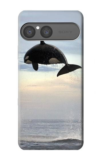 S1349 シャチ Killer whale Orca Sony Xperia 10 VII バックケース、フリップケース・カバー