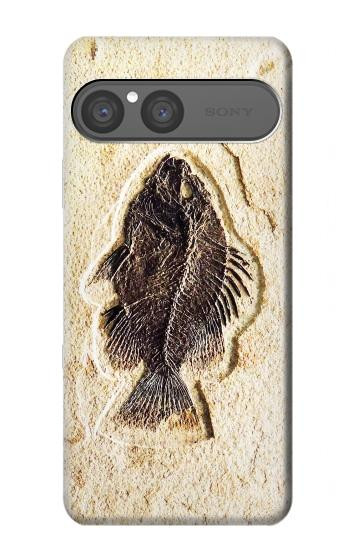 S2562 魚化石 Fossil Fish Sony Xperia 10 VII, 10 VIII バックケース、フリップケース・カバー
