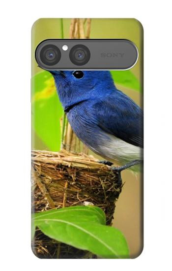 S3839 幸福の青い 鳥青い鳥 Bluebird of Happiness Blue Bird Sony Xperia 10 VII バックケース、フリップケース・カバー