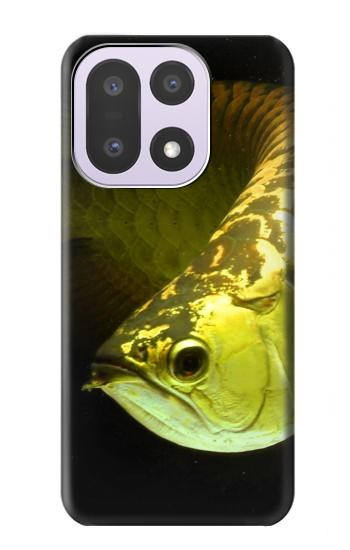 S1021 ゴールドアロワナの魚 Gold Arowana Fish OnePlus 15 バックケース、フリップケース・カバー