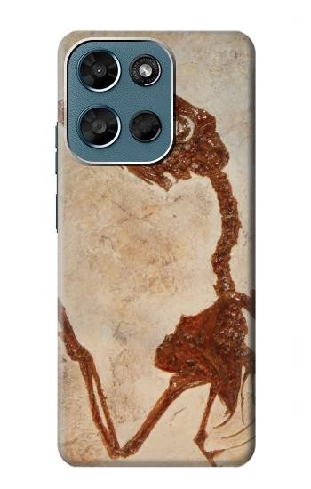 S0379 恐竜化石 Dinosaur Fossil Motorola Moto G (2026), G Play (2026) バックケース、フリップケース・カバー