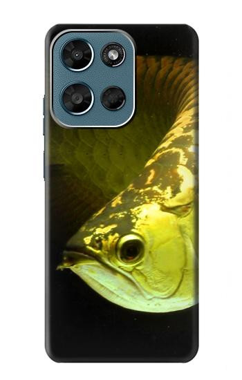 S1021 ゴールドアロワナの魚 Gold Arowana Fish Motorola Moto G (2026), G Play (2026) バックケース、フリップケース・カバー