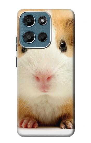 S1619 可愛いモルモット Cute Guinea Pig Motorola Moto G (2026), G Play (2026) バックケース、フリップケース・カバー