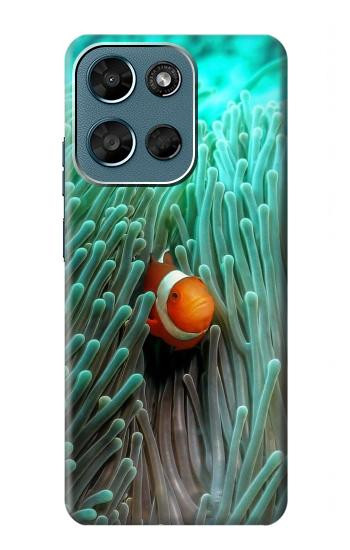 S3893 カクレクマノミ Ocellaris clownfish Motorola Moto G (2026), G Play (2026) バックケース、フリップケース・カバー