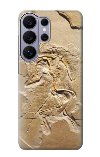 S0380 恐竜化石 Dinosaur Fossil Samsung Galaxy S26 Ultra バックケース、フリップケース・カバー