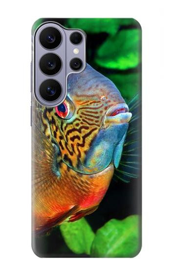 S1812 シクリッド魚 Cichlid Fish Samsung Galaxy S26 Ultra バックケース、フリップケース・カバー