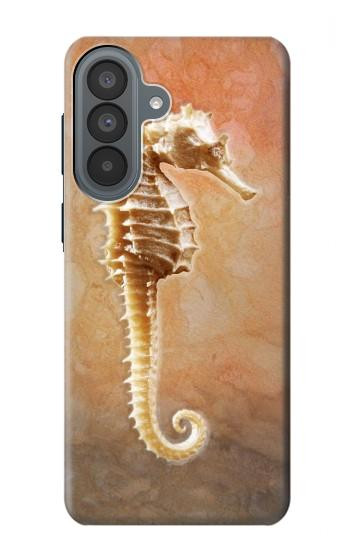 S2674 タツノオトシゴスケルトン化石 Seahorse Skeleton Fossil Samsung Galaxy A37 バックケース、フリップケース・カバー
