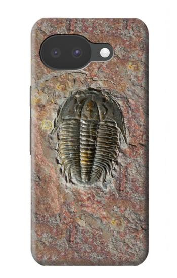 S1454 三葉虫の化石 Trilobite Fossil Google Pixel 10a バックケース、フリップケース・カバー