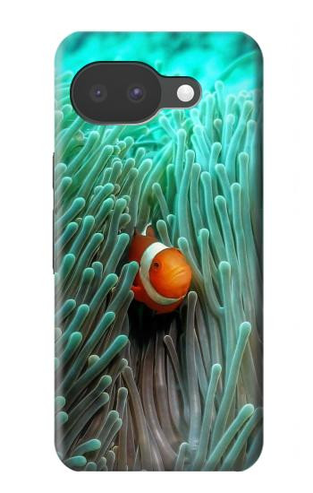 S3893 カクレクマノミ Ocellaris clownfish Google Pixel 10a バックケース、フリップケース・カバー