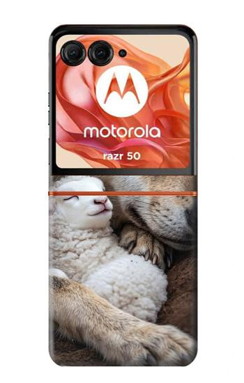 S4089 オオカミと子羊 Gentle Wolf And Lamb Friendship Art Motorola Razr 70,60,50, Razr (2026, 2025, 2024) バックケース、フリップケース・カバー
