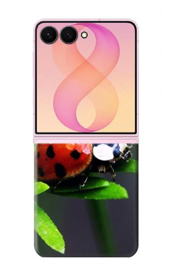 S0263 天道虫 Ladybug Samsung Galaxy Z Flip 8 バックケース、フリップケース・カバー