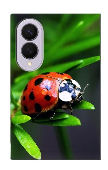 S0263 天道虫 Ladybug Samsung Galaxy Z Fold 8 バックケース、フリップケース・カバー